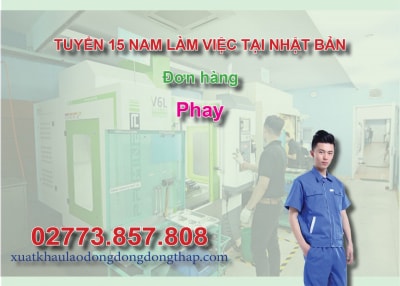 Tuyển 15 nam làm việc tại Nhật Bản đơn hàng phay