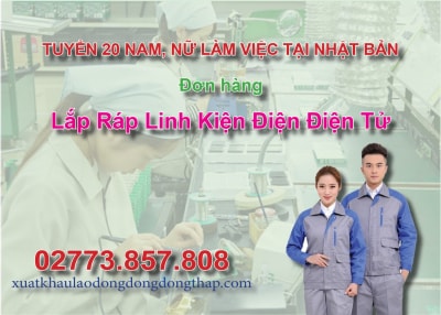 Tuyển 20 nam, nữ làm việc tại Nhật Bản đơn hàng lắp ráp linh kiện điện điện tử