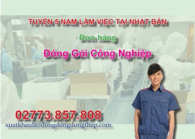Tuyển 5 nam làm việc tại Nhật Bản đơn hàng đóng gói công nghiệp