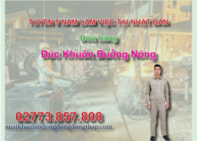 Tuyển 5 nam làm việc tại Nhật Bản đơn hàng đúc khuôn buồng nóng