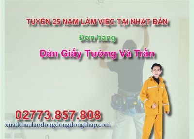 Tuyển 25 nam làm việc tại Nhật Bản đơn hàng dán giấy tường và trần