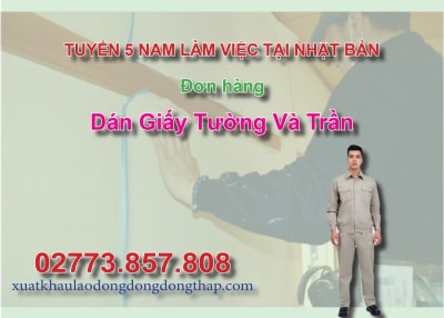 Tuyển 5 nam làm việc tại Nhật Bản đơn hàng dán giấy tường và trần