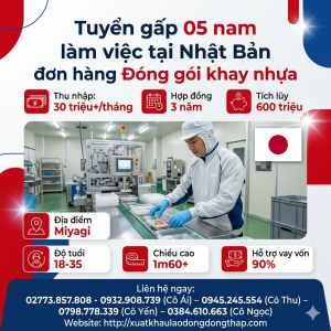 Tuyển gấp 5 nam làm việc tại Nhật Bản đơn hàng Đóng gói khay nhựa