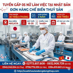 Tuyển gấp 5 nữ làm việc tại Nhật Bản đơn hàng Chế biến thuỷ sản