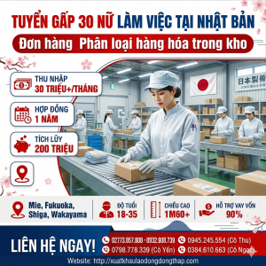 Tuyển gấp 40 nữ làm việc tại Nhật Bản đơn hàng Phân loại thực phẩm trong kho