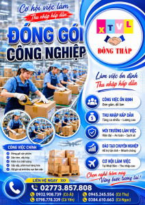 Tuyển gấp 10 nam làm việc tại Nhật Bản đơn hàng Đóng gói công nghiệp