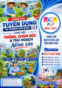 Tuyển gấp nam nữ làm việc tại Hàn Quốc đơn hàng Trồng chăm sóc thu hoạch nông sản