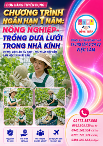 Tuyển gấp 20 nữ làm việc tại Nhật Bản đơn hàng Trồng dưa lưới trong nhà kính