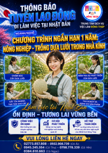 Tuyển gấp  20 nữ làm việc tại Nhật Bản đơn hàng Trồng dưa lưới trong nhà kính
