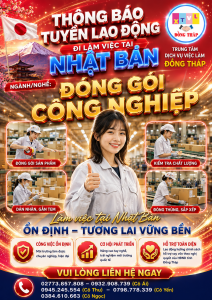 Tuyển gấp 5 nữ làm việc tại Nhật Bản đơn hàng Đóng gói công nghiệp