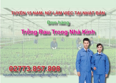 Tuyển 15 nam, nữ làm việc tại Nhật Bản đơn hàng trồng rau trong nhà kính