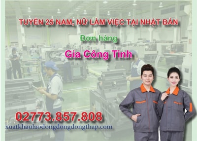 Tuyển 25 nam, nữ làm việc tại Nhật Bản đơn hàng gia công tinh