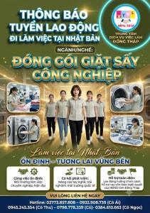 Tuyển gấp 10 nữ làm việc tại Nhật Bản đơn hàng Đóng gói giặt sấy công nghiệp