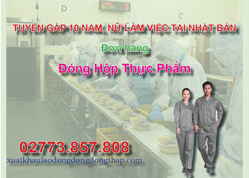 Tuyển gấp 10 nam, nữ làm việc tại Nhật Bản đơn hàng đóng hộp thực phẩm