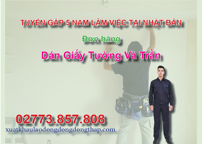 Tuyển gấp 5 nam làm việc tại Nhật Bản đơn hàng dán giấy tường và trần