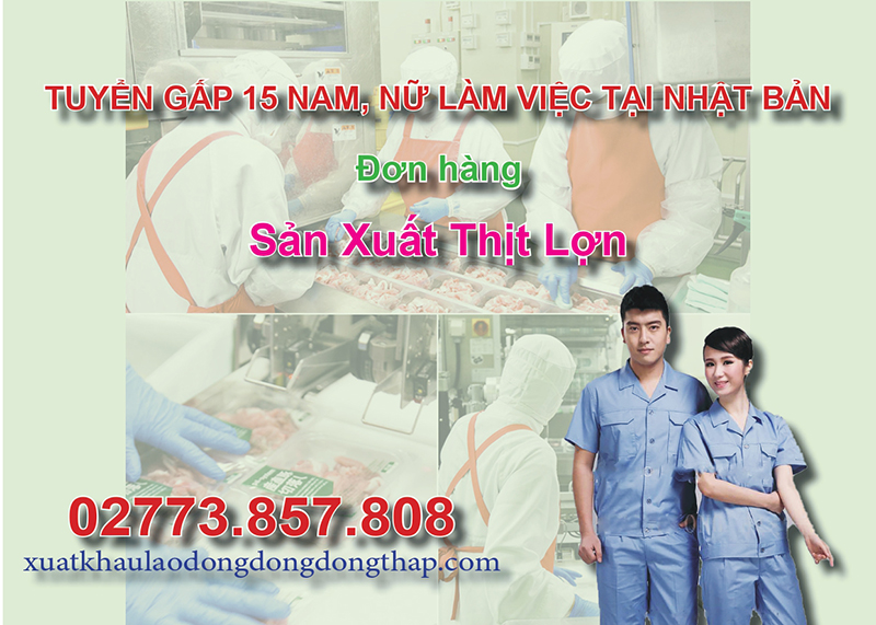 Tuyển gấp 15 nam, nữ làm việc tại Nhật Bản đơn hàng sản xuất thịt lợn