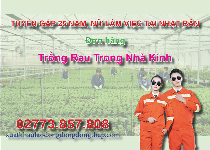 Tuyển gấp 25 nam, nữ làm việc tại Nhật Bản đơn hàng trồng rau trong nhà kính