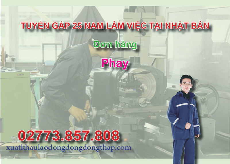 Tuyển gấp 25 nam làm việc tại Nhật Bản đơn hàng phay