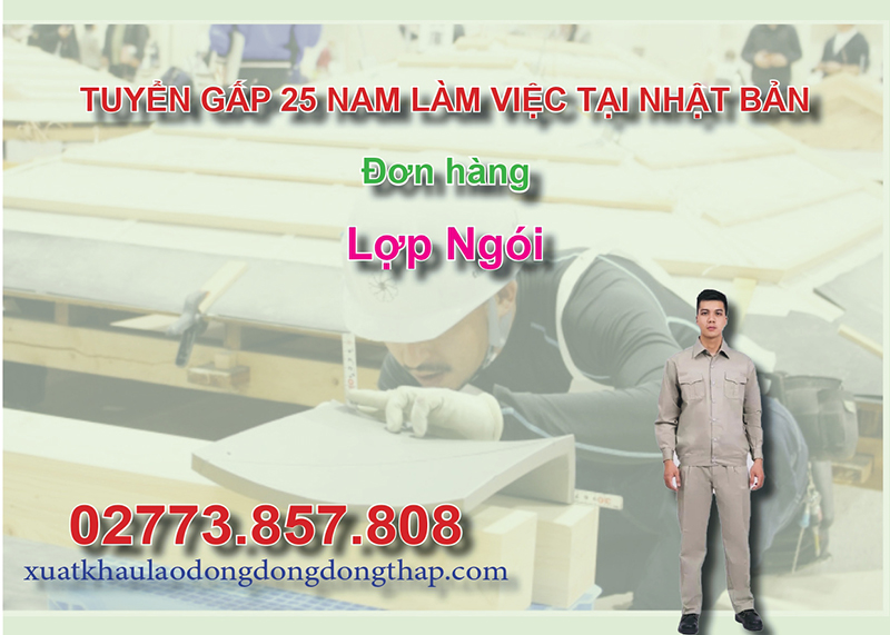 Tuyển gấp 25 nam làm việc tại Nhật Bản đơn hàng lợp ngói