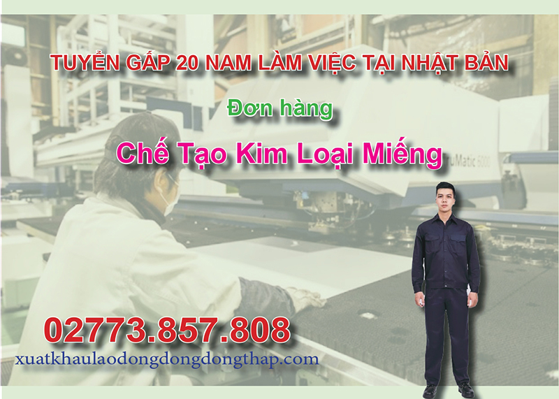 Tuyển gấp 20 nam làm việc tại Nhật Bản đơn hàng chế tạo kim loại miếng