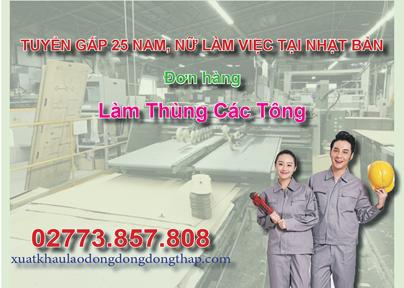 Tuyển gấp 25 nam, nữ làm việc tại Nhật Bản đơn hàng làm thùng các tông