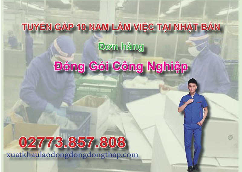 Tuyển gấp 10 nam làm việc tại Nhật Bản đơn hàng đóng gói công nghiệp