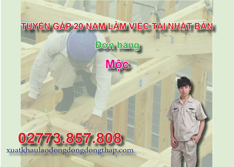 Tuyển gấp 20 nam làm việc tại Nhật Bản đơn hàng mộc