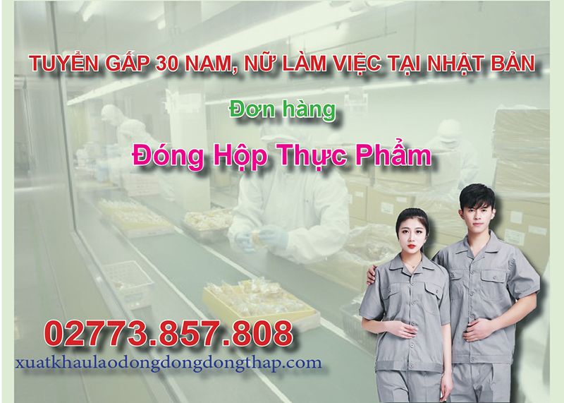 Tuyển gấp 30 nam, nữ làm việc tại Nhật Bản đơn hàng đóng hộp thực phẩm