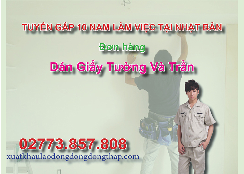 Tuyển gấp 10 nam làm việc tại Nhật Bản đơn hàng dán giấy tường và trần