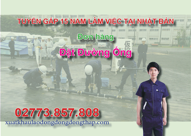 Tuyển gấp 15 nam làm việc tại Nhật Bản đơn hàng đặt đường ống