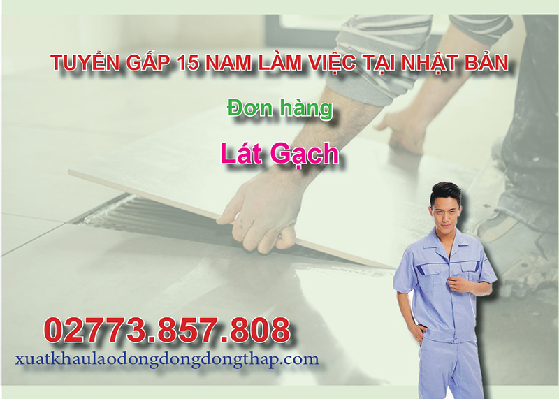 Tuyển gấp 15 nam làm việc tại Nhật Bản đơn hàng lát gạch