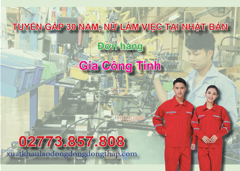 Tuyển gấp 30 nam, nữ làm việc tại Nhật Bản đơn hàng gia công tinh