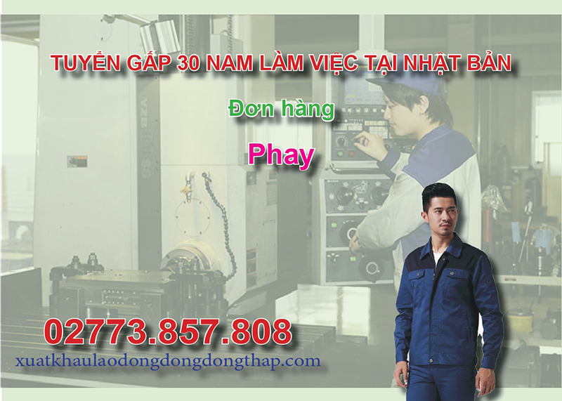 Tuyển gấp 30 nam làm việc tại Nhật Bản đơn hàng phay