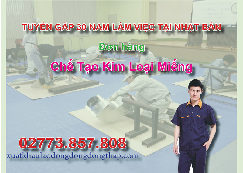 Tuyển gấp 30 nam làm việc tại Nhật Bản đơn hàng chế tạo kim loại miếng