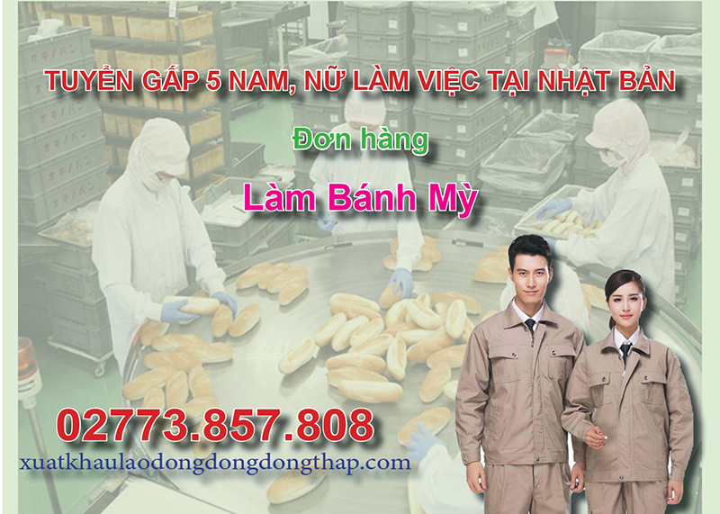 Tuyển gấp 5 nam, nữ làm việc tại Nhật Bản đơn hàng làm bánh mỳ