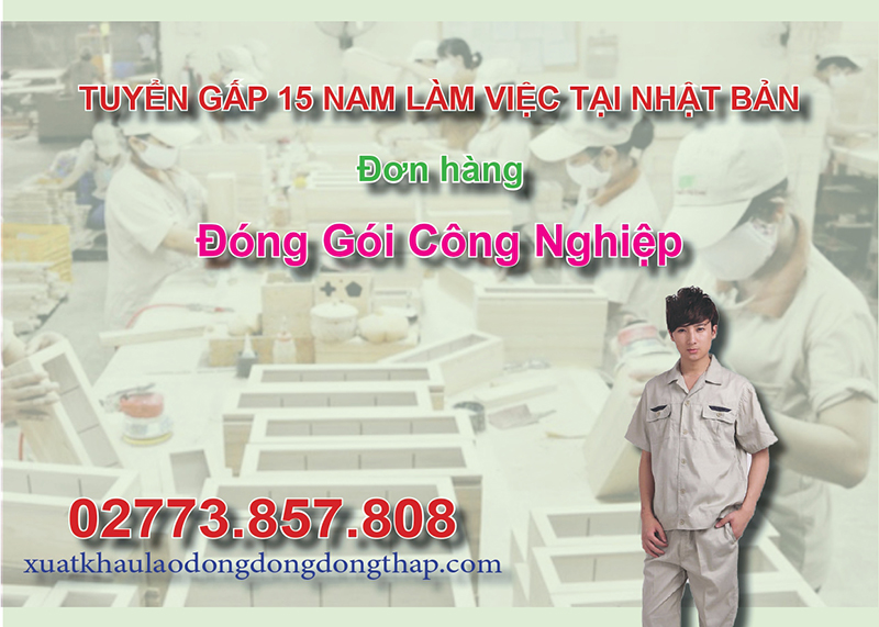 Tuyển gấp 15 nam làm việc tại Nhật Bản đơn hàng đóng gói công nghiệp