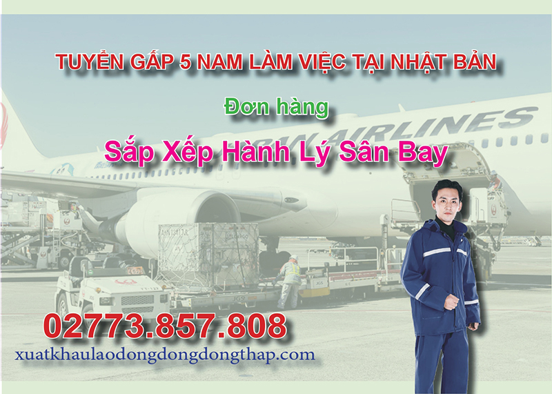 Tuyển gấp 5 nam làm việc tại Nhật Bản đơn hàng sắp xếp hành lý sân bay