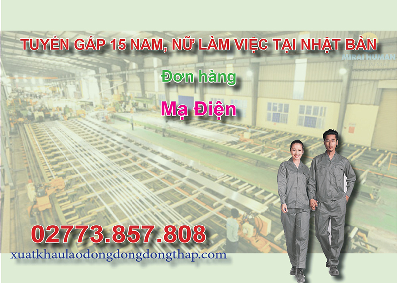 Tuyển gấp 15 nam, nữ làm việc tại Nhật Bản đơn hàng mạ điện