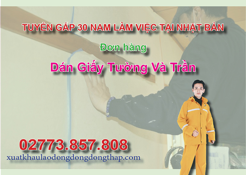 Tuyển gấp 30 nam làm việc tại Nhật Bản đơn hàng dán giấy tường và trần