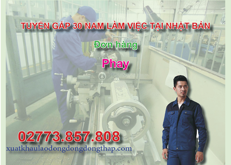 Tuyển gấp 30 nam làm việc tại Nhật Bản đơn hàng phay