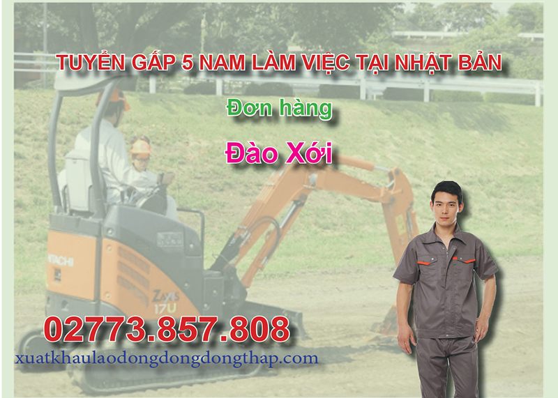 Tuyển gấp 5 nam làm việc tại Nhật Bản đơn hàng đào xới