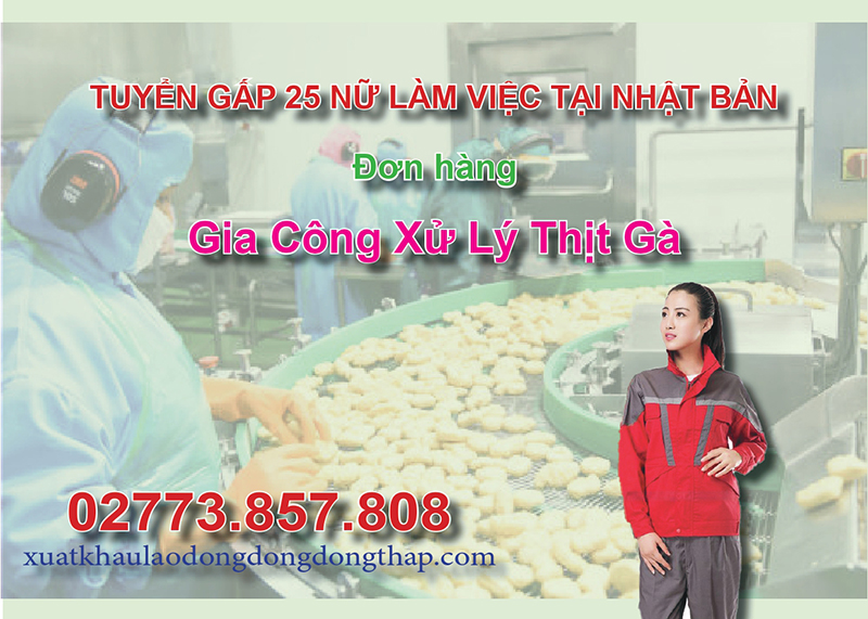 Tuyển gấp 25 nữ làm việc tại Nhật Bản đơn hàng gia công xử lý thịt gà