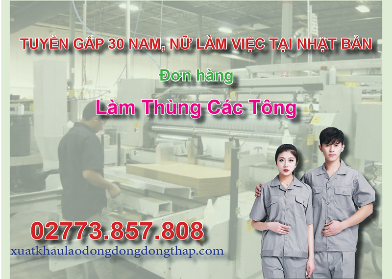 Tuyển gấp 30 nam, nữ làm việc tại Nhật Bản đơn hàng làm thùng các tông