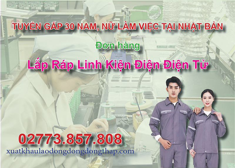 Tuyển gấp 30 nam, nữ làm việc tại Nhật Bản đơn hàng lắp ráp linh kiện điện điện tử