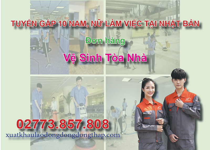 Tuyển gấp 10 nam, nữ làm việc tại Nhật Bản đơn hàng vệ sinh tòa nhà