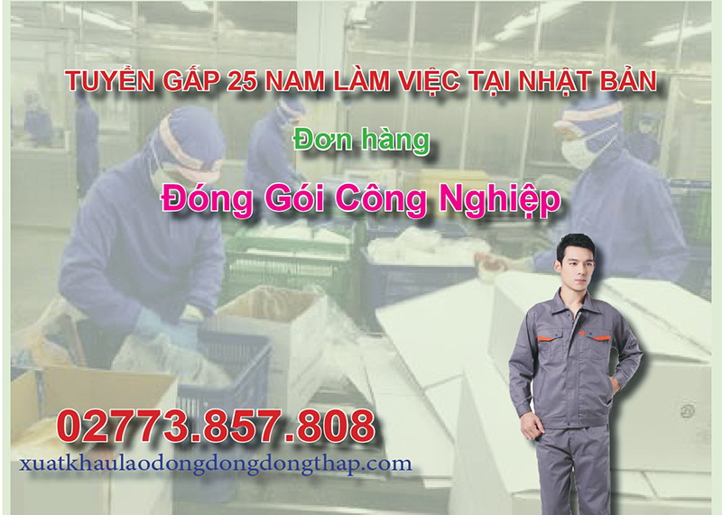 Tuyển gấp 25 nam làm việc tại Nhật Bản đơn hàng đóng gói công nghiệp