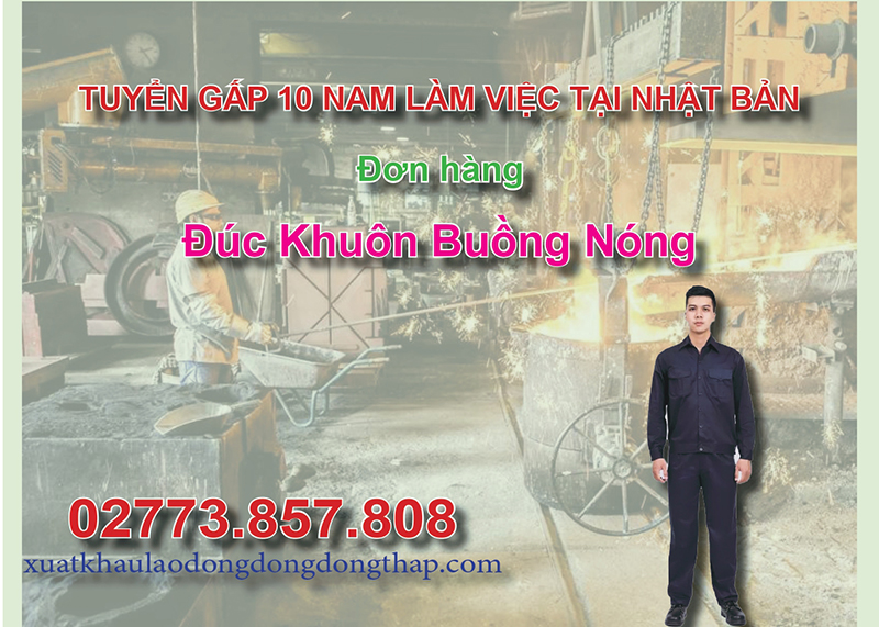 Tuyển gấp 10 nam làm việc tại Nhật Bản đơn hàng đúc khuôn buồng nóng