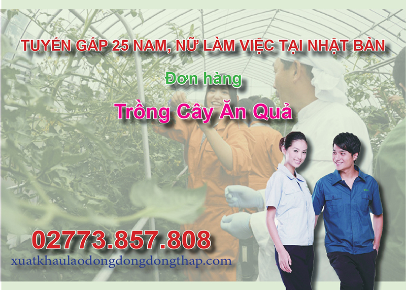 Tuyển gấp 25 nam, nữ làm việc tại Nhật Bản đơn hàng trồng cây ăn quả