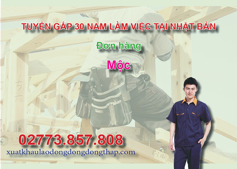 Tuyển gấp 30 nam làm việc tại Nhật Bản đơn hàng mộc