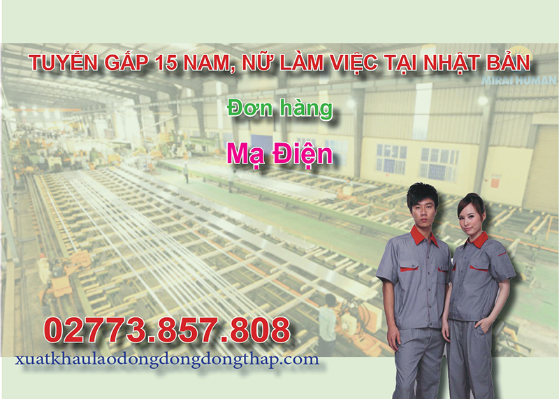 Tuyển gấp 15 nam, nữ làm việc tại Nhật Bản đơn hàng mạ điện